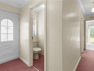 Picture 15